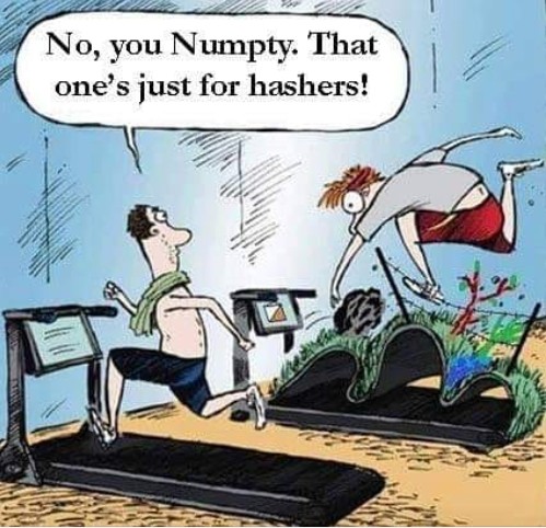 Hash Gym Cartoon